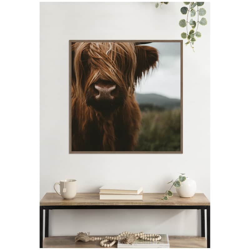 Kate and Laurel Close Up of Scottish Highland Cattle Baby SQ by Michael Schauer Framed Canvas Wall Art Print