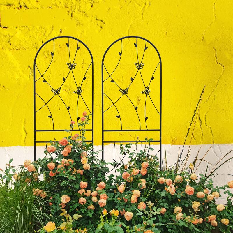 2 Pack Metal Garden Trellis 71in x 19.7in Rustproof Trellis
