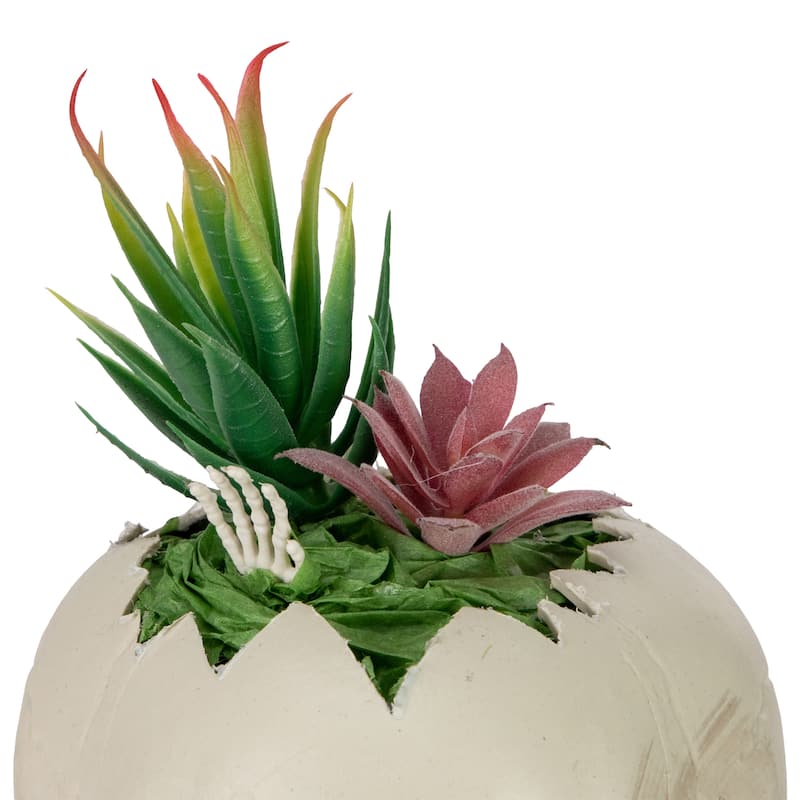 LED Lighted Succulent Halloween Skull Planter - 8.75"