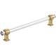 Option Clear / Champagne Bronze