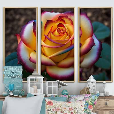 Designart "Red And Yellow Blossoming Spring Rose II" Floral Rose Framed Canvas Wall Art Print - 3 Panels