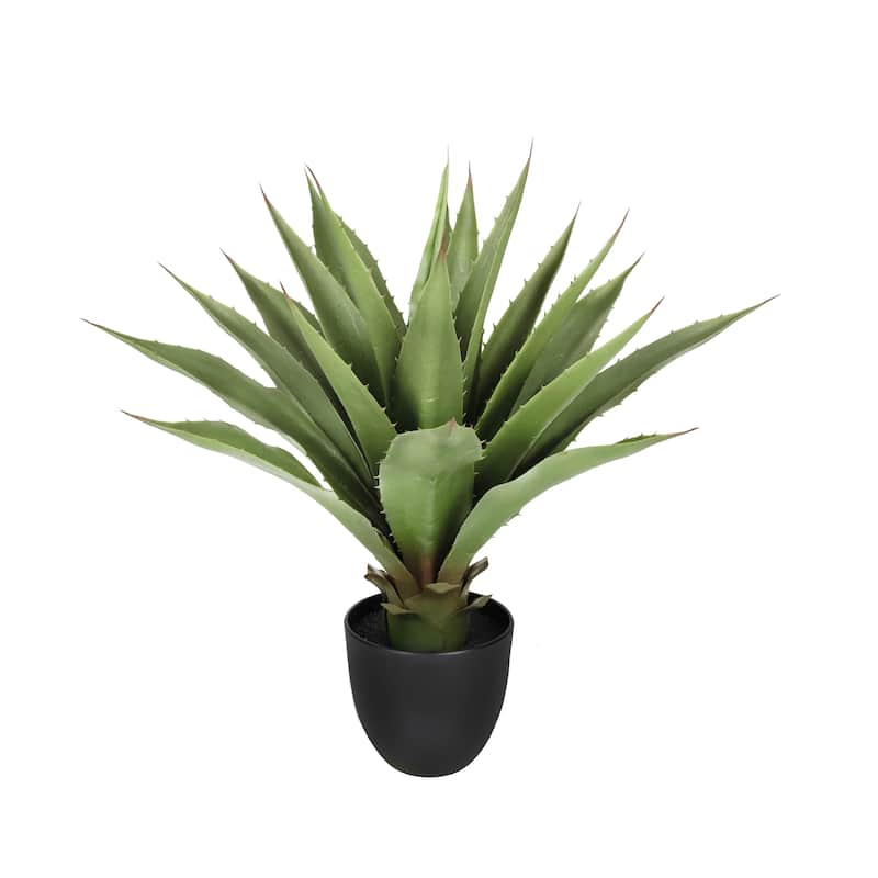 20in Artificial Agave Succulent Plant in Black Pot - 20" H x 18" W x 18" DP - 20" H x 18" W x 18" DP - Green