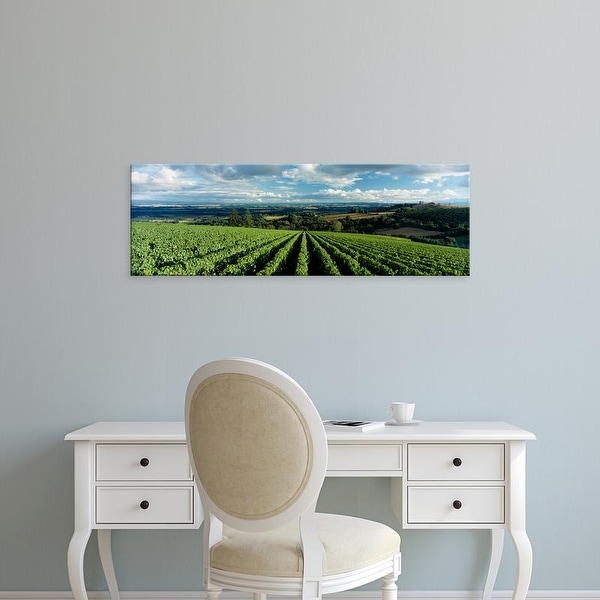 Easy Art Prints Panoramic Images's 'Vineyards, Domaine Drouhin Oregon, Newberg, Willamette Valley, Oregon' Canvas Art