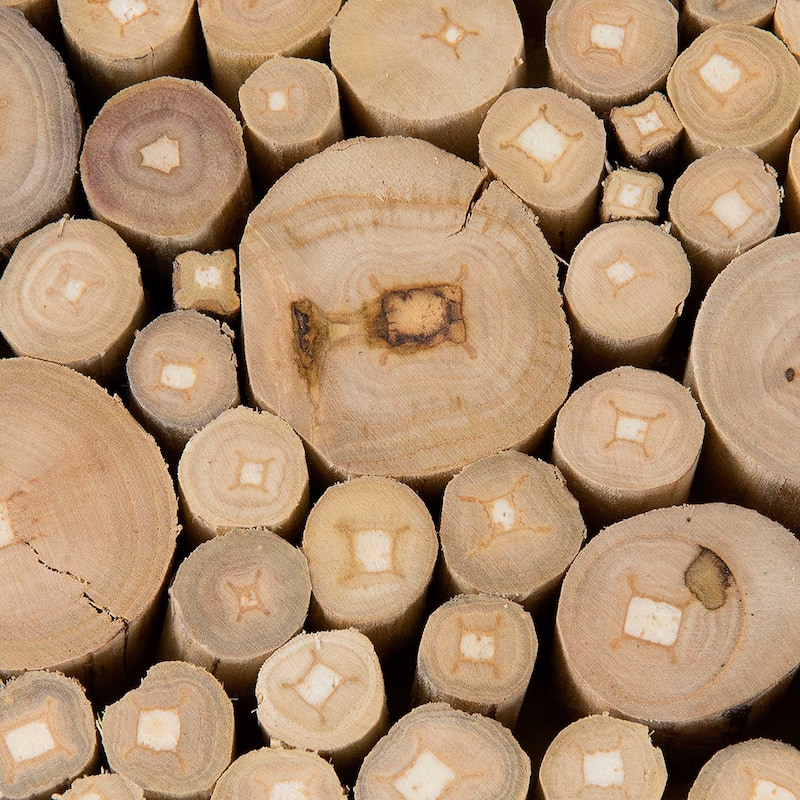 Reclaimed Solid Teak Wood Branch Bundle Table by East at Main