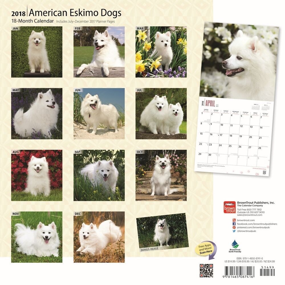 Shop American Eskimo Dogs Wall Calendar American Eskimo Dog By