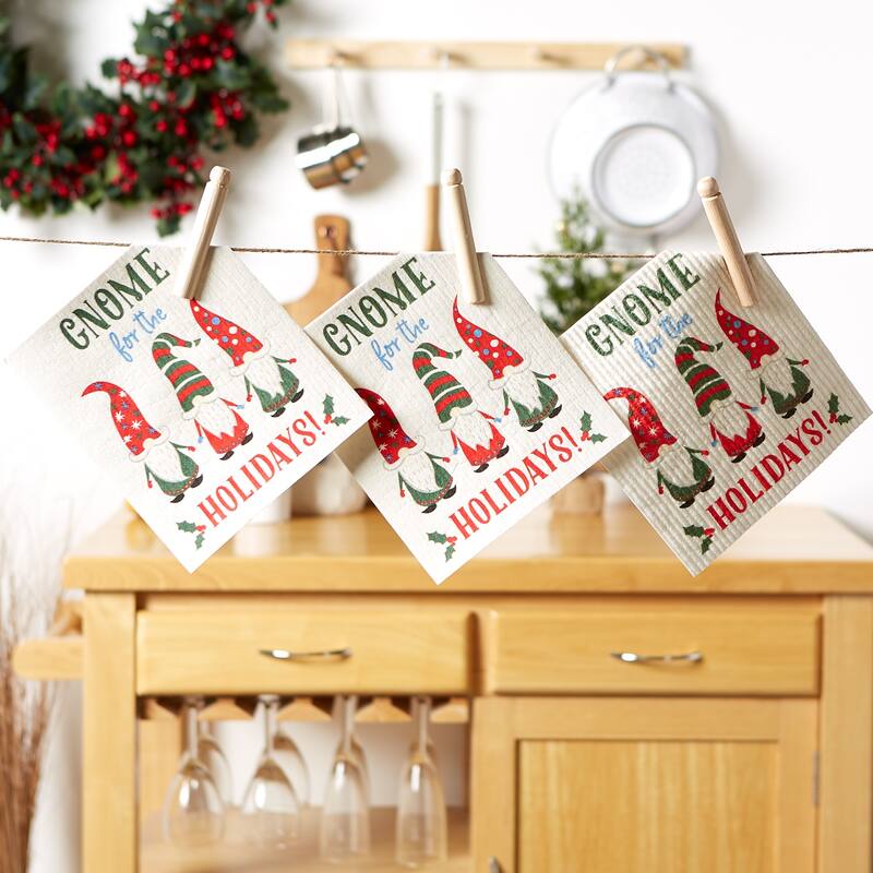 DII Swedish Dishcloth Set/3
