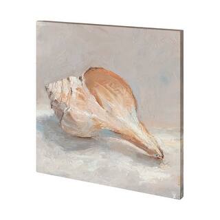 Impressionist Shell Study III Canvas Art Print