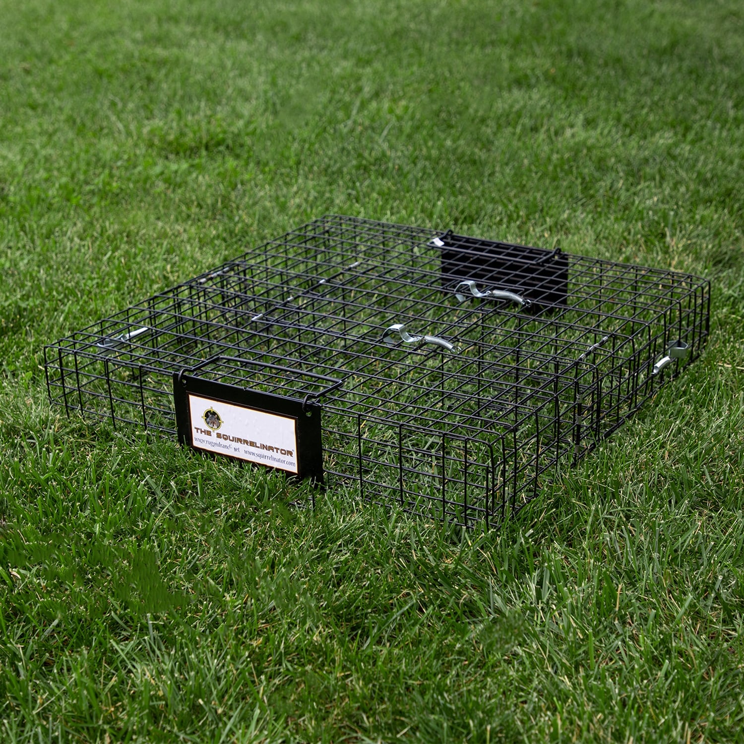 Rugged Ranch SQRTO Squirrelinator Trap CatchMor Live Animal 2 Door Metal  Cage - 24.5 x 24.5 x 5 inches - On Sale - Bed Bath & Beyond - 35238815