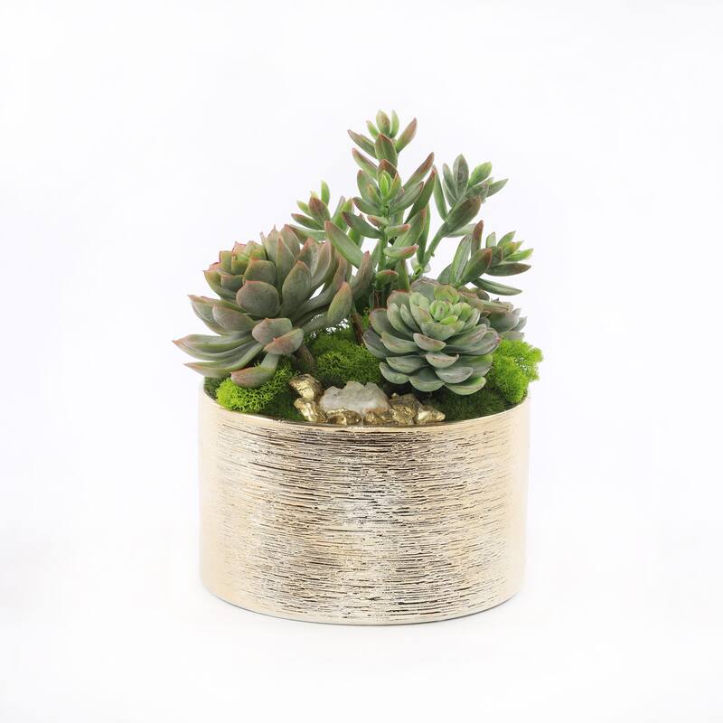 Faux Sedum & Succulent Arrangement in Etched Golden Pot - Green