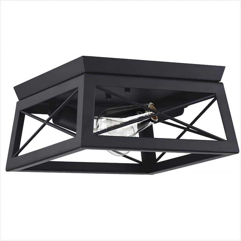 2 Light Caged Square/Rectangle Flush Mount Fixture