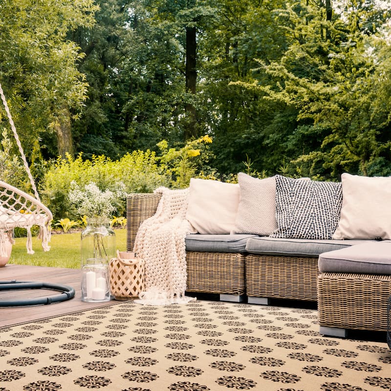 SAFAVIEH Beach House Indoor/ Outdoor Waterproof Patio Backyard Rug