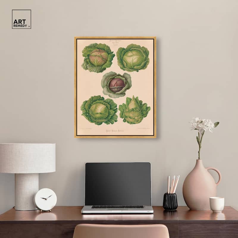 Cabbages by Benary 1876 Canvas by Art Remedy