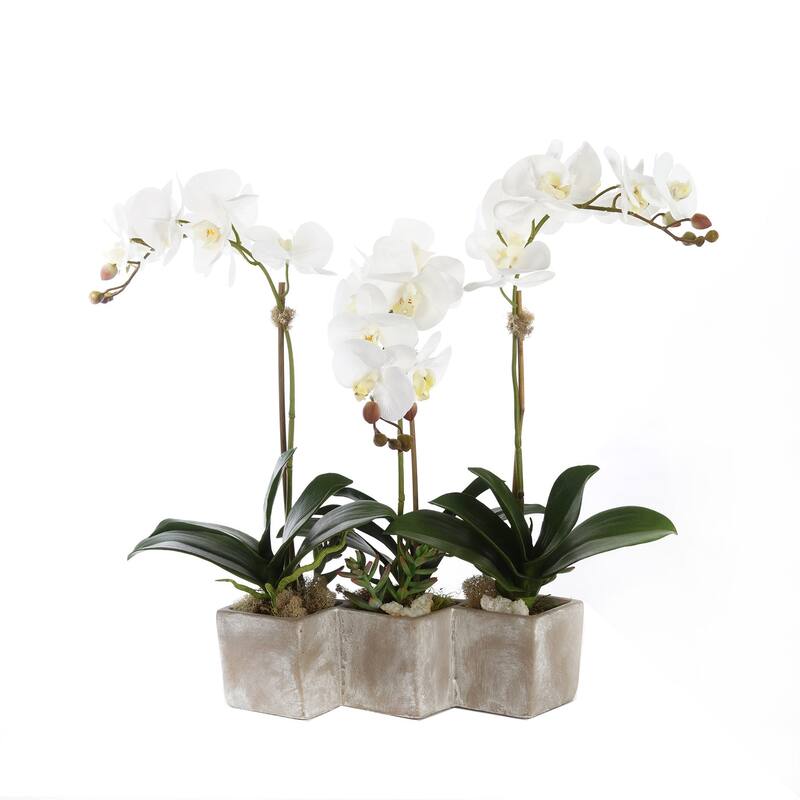 Three Sisters Real Touch White Orchid Arrangement
