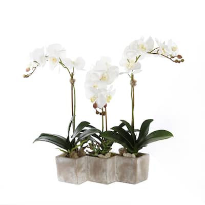 Three Sisters Real Touch White Orchid Arrangement