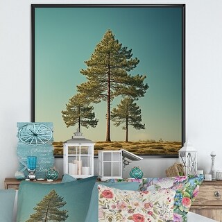 Designart "Pine Tree Perspective In Forest I" Tree Pine Framed Wall Art ...