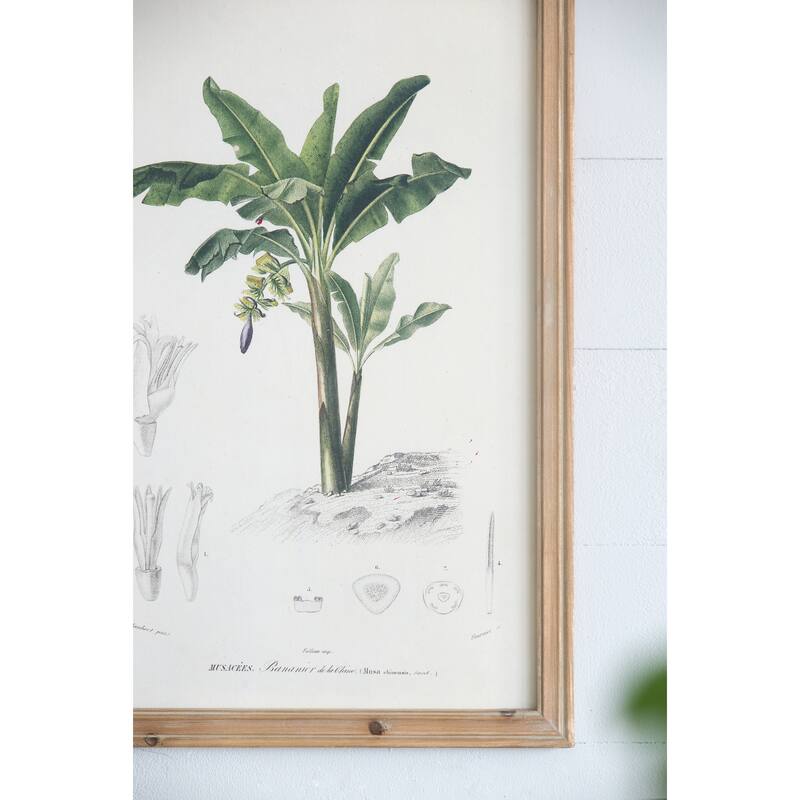 Modern Botanical Print Wall Decor Rectangular Wall Decor with Fir Wood, for Livingand Dining Room 2-Piece