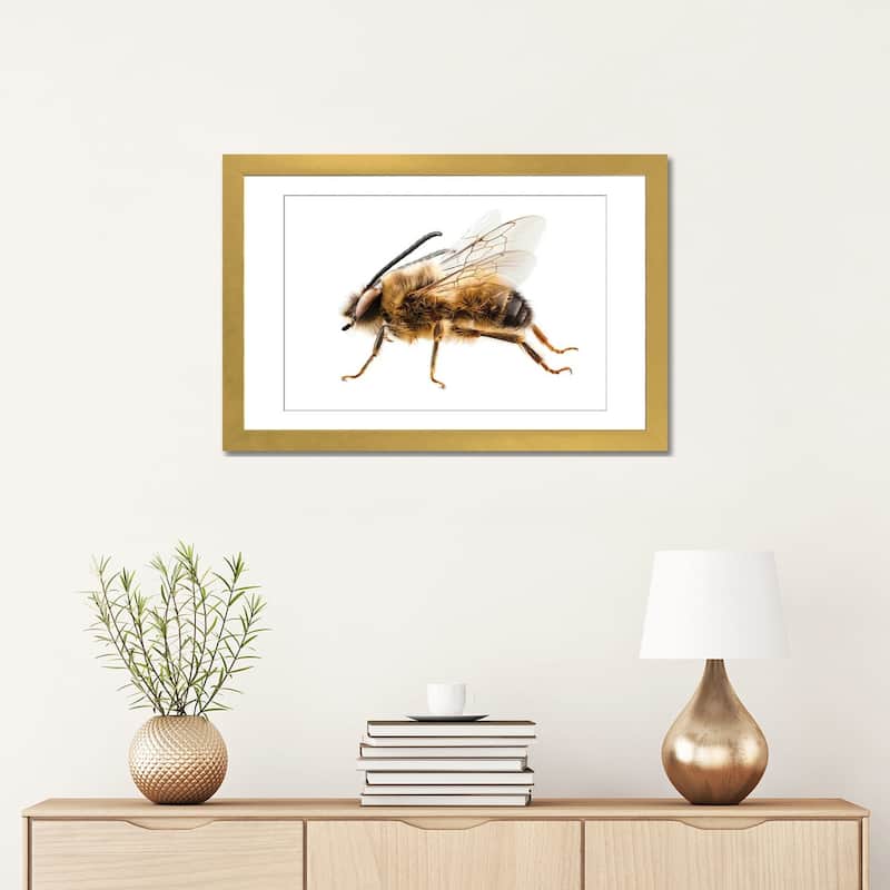 iCanvas "Bee Species Eucera Longicornis Common Name Solitary Miner Bee" by Paul Rommer
