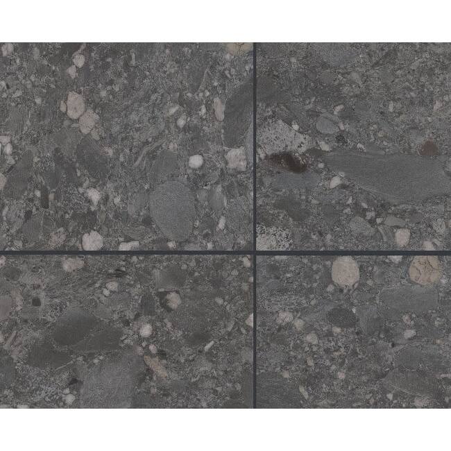 Shaw 496TS Exterior Notion - 24" x 24" Square Floor and Wall Tile - - Nero