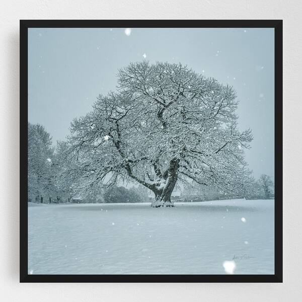 Shop Landscape Nature Snow Winter Framed Wall Art Print
