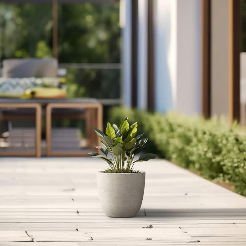 Tall Concrete Round Plant Pots / Large Indoor and Outdoor flower Planters
