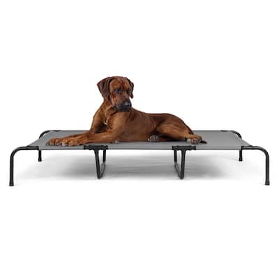 60 in. x 37 in. Iron Frame Gray Mesh Surface Outdoor Dog Cot - 60 in. x 37 in. x 9 in.