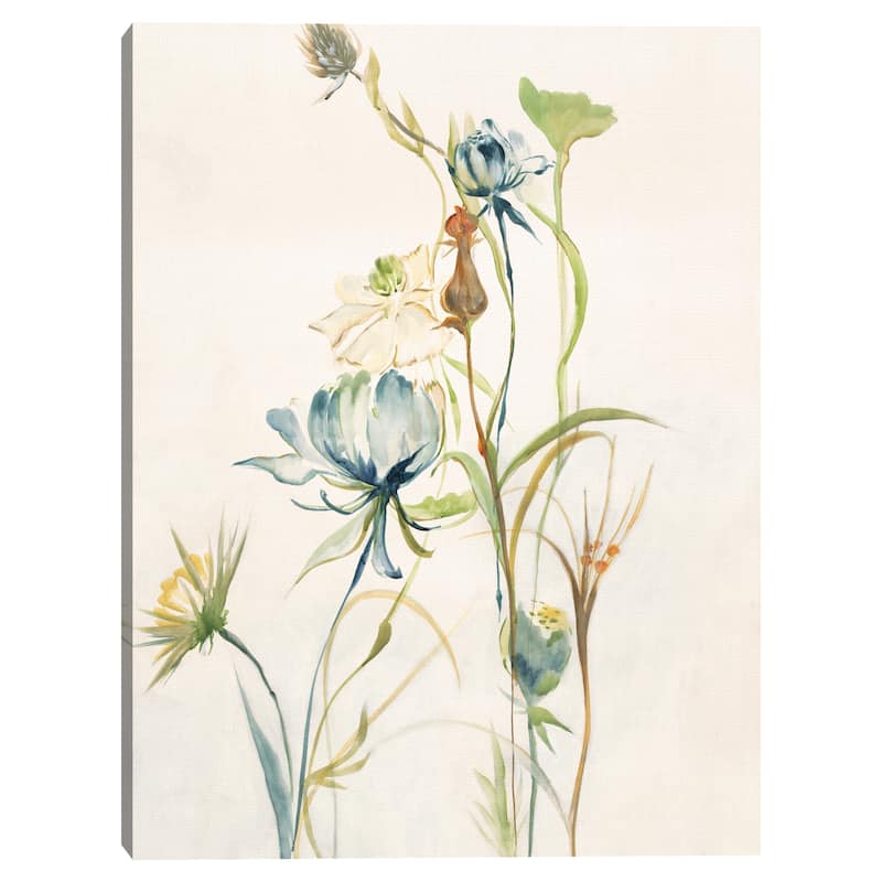 Late Summer Wildflowers II by Liz Jardine Canvas Art Print