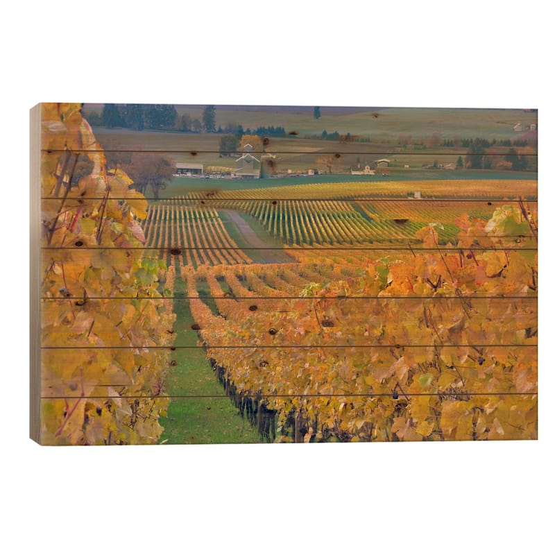 Autumn Vineyard Landscape, Stoller Family Estate, Yamhill County, Oregon, USA Print On Wood by Janis Miglavs - Multi-Color - 26x40x1.5