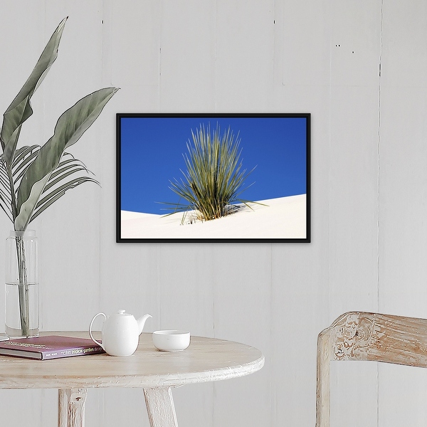 Yucca on sand