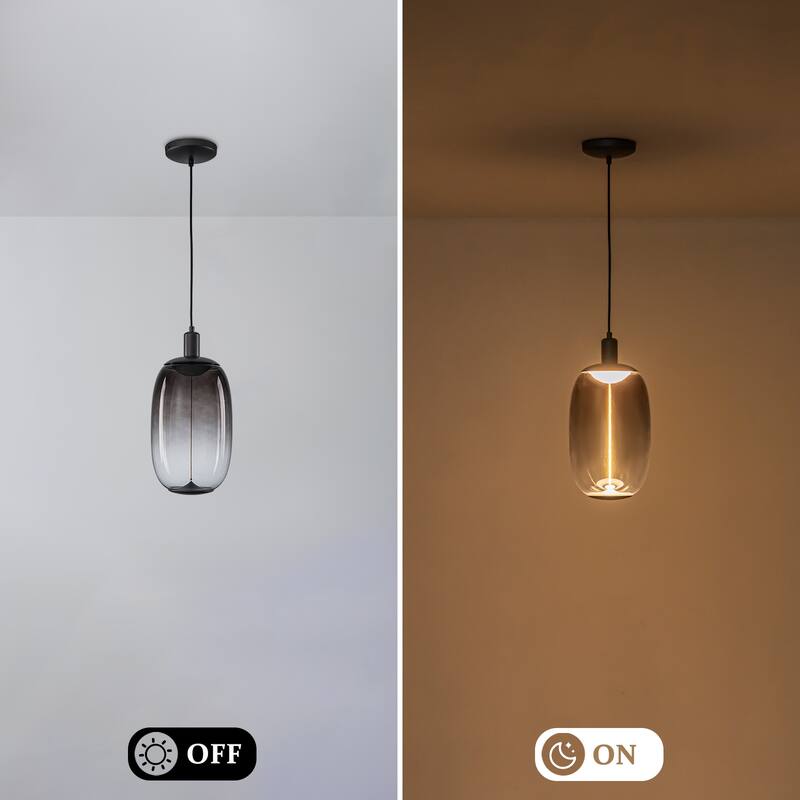 Smoke Gradient Clear Plastic LED Globe Pendant Light