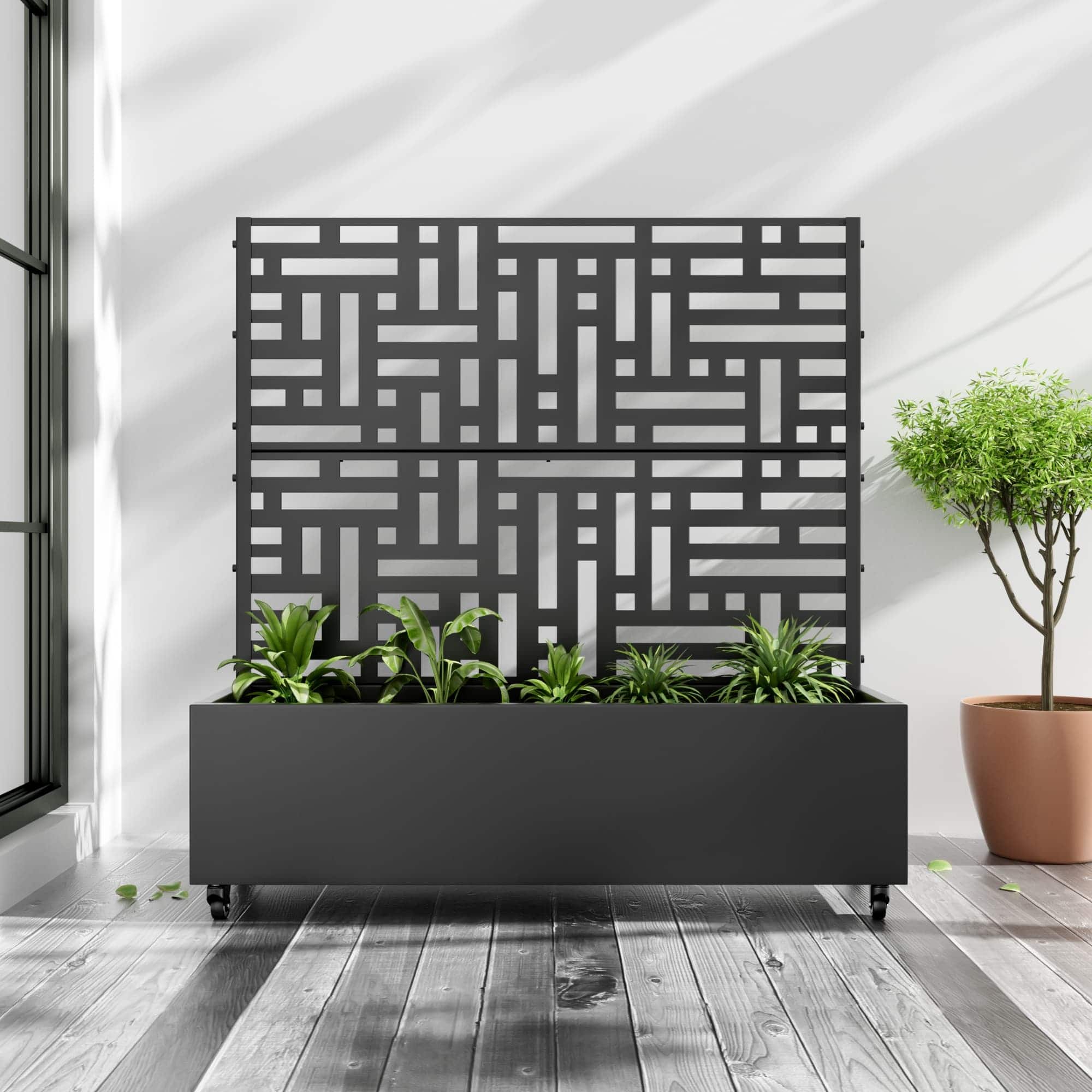 Option Black-Rectangle
