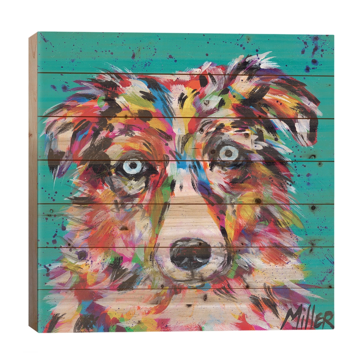 Aussie Stare Print On Wood by Tracy Miller - Multi-Color