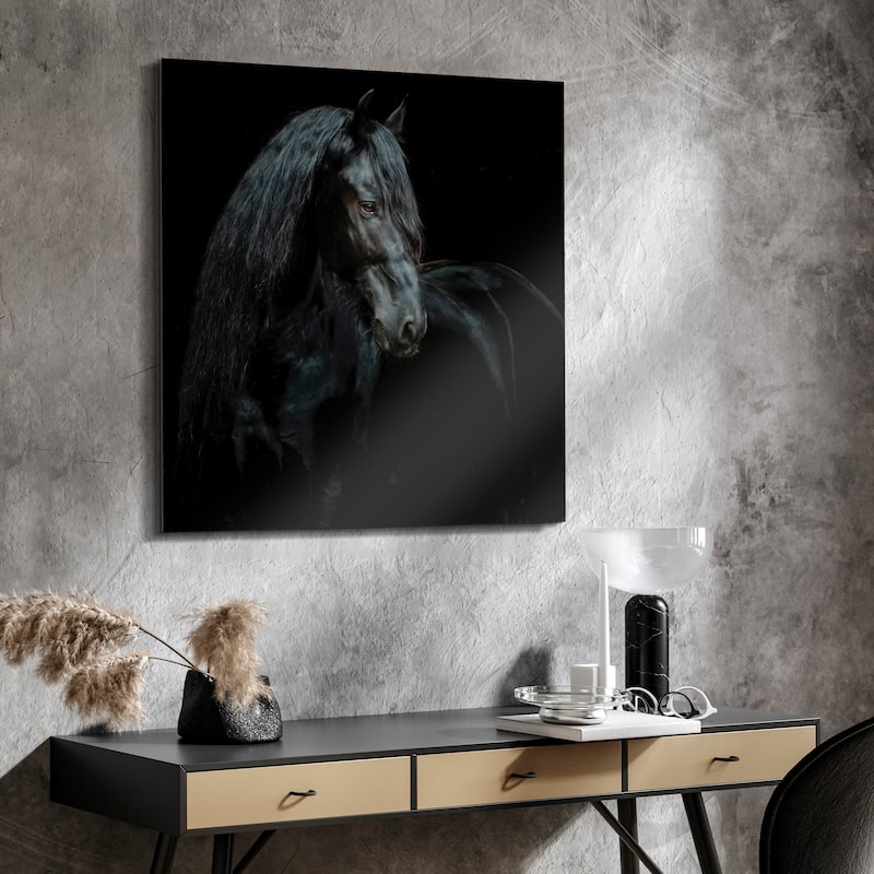 "Black Equine Attraction" Frameless Free Floating Tempered Glass Panel Graphic Wall Art