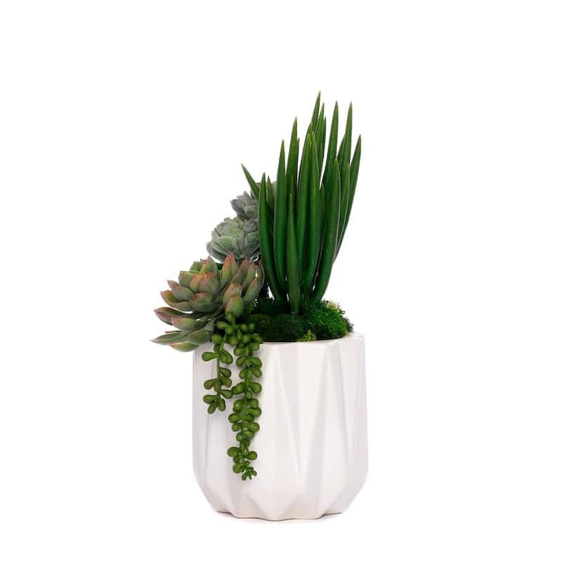 Succulent Arrangement in White Metal Pot - Green
