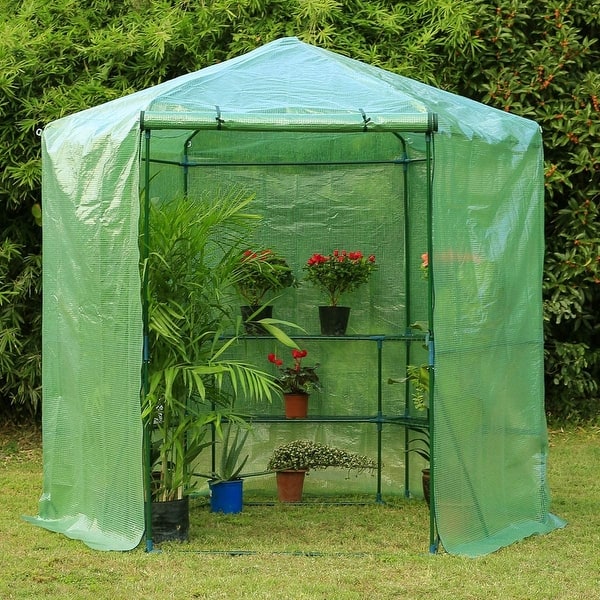 Palram Canopia Oasis Hexagonal Greenhouse Costco House Greenhouse