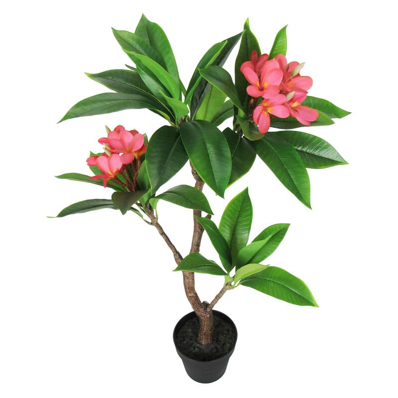3ft Fuchsia Artificial Plumeria Flower Tree Tropical Plant in Black Pot - 36" H x 20" W x 17" DP