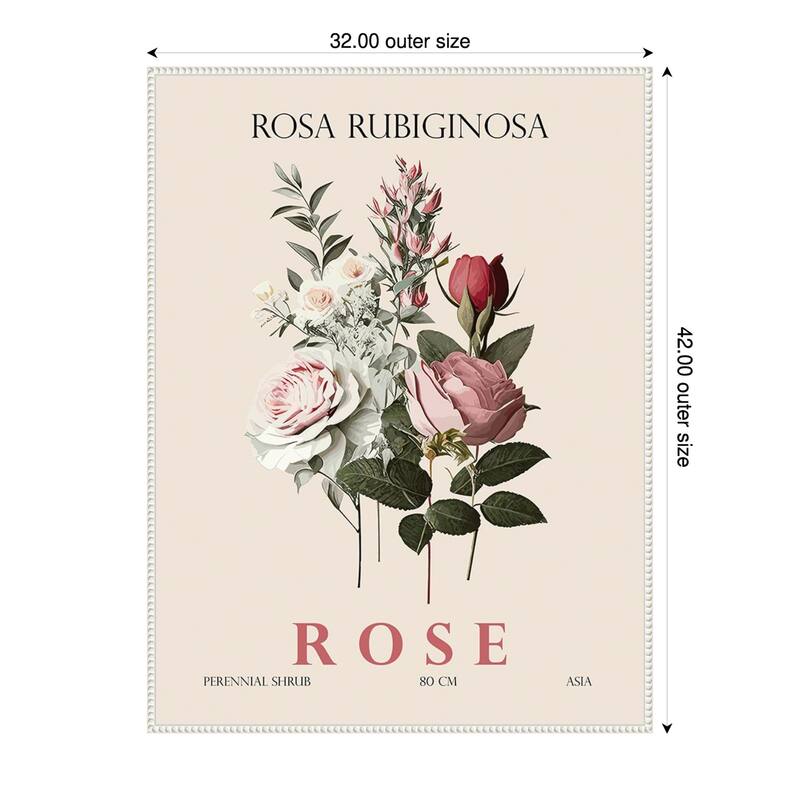 Vintage Botanical Rose Illustration by Christopher Giampietro Framed Canvas Wall Art Print - White - 32 x 42 in