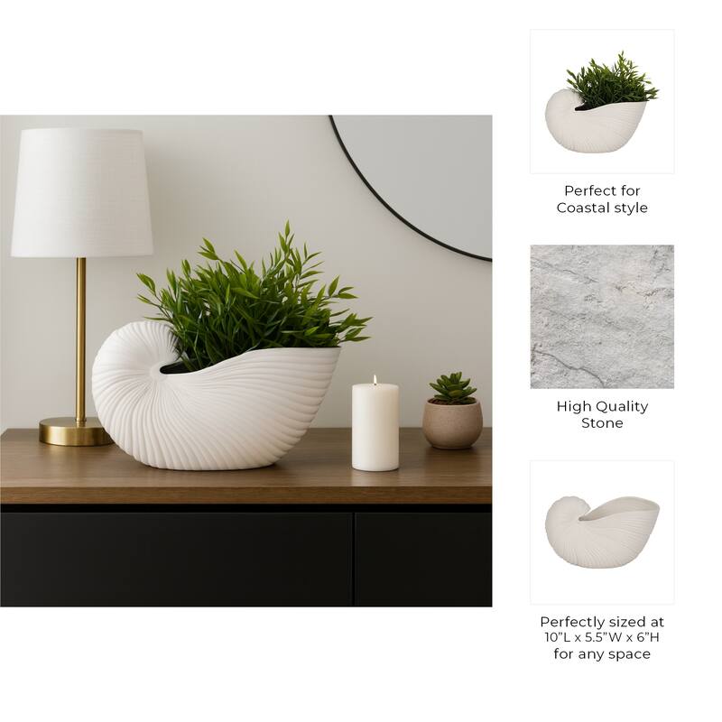 Decorative Ceramic Shell Accent Coral Figurine - White