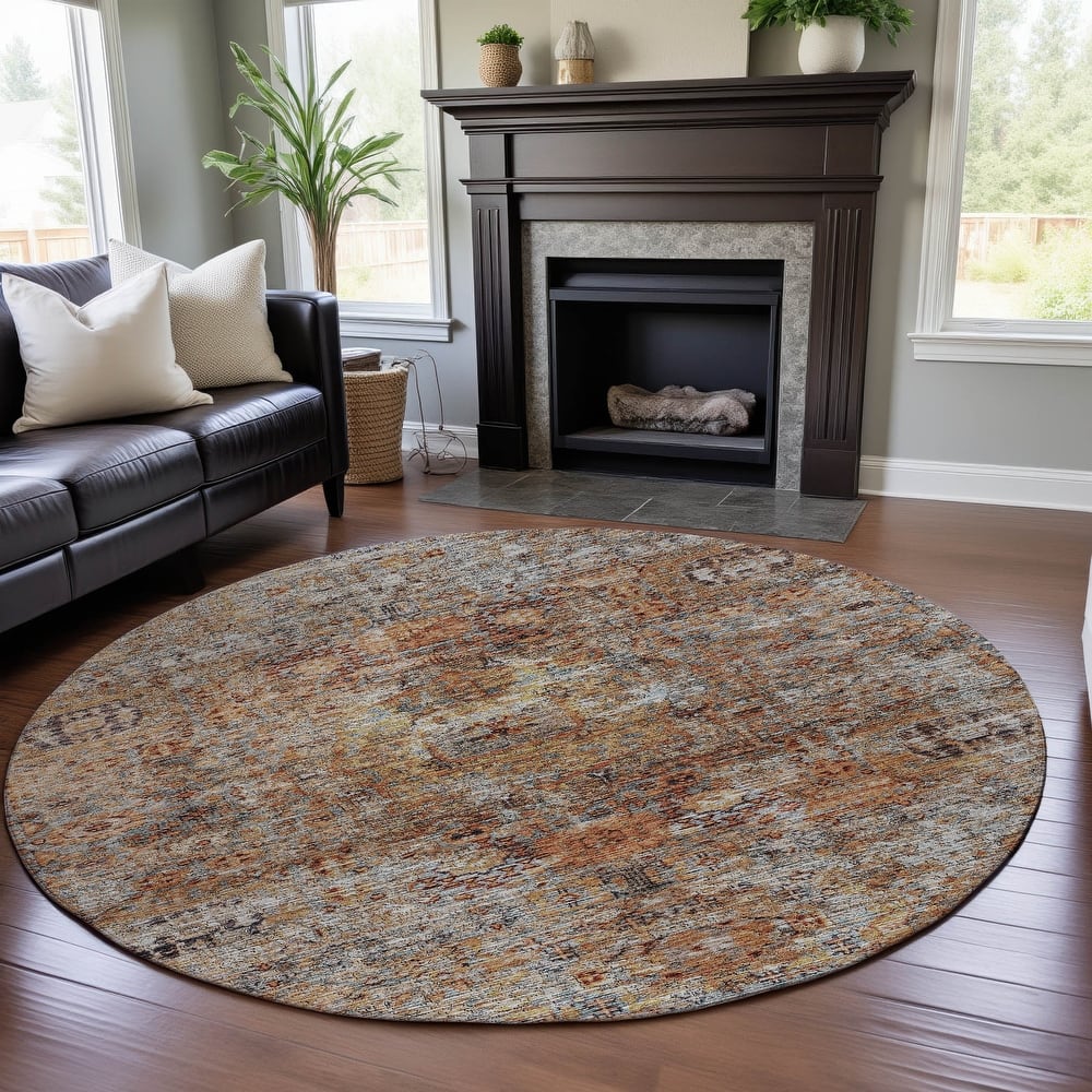 Premium Washable Super Soft Vintage Persian Mayfield Rug