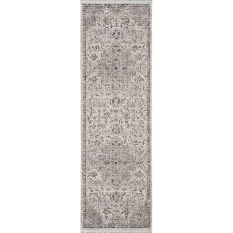Domani Greige Distressed And Modern Oriental Area Rug - 2'7" x 8' Runner