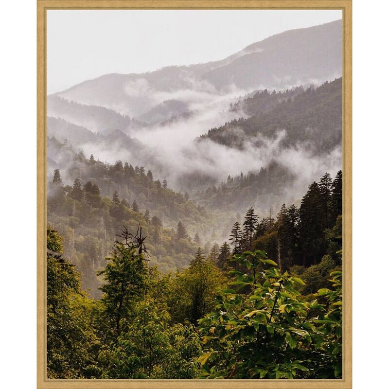 Great Smoky Mountains by Del Mundo Imagery Framed Canvas Wall Art Print - Sylvie Bright Gold