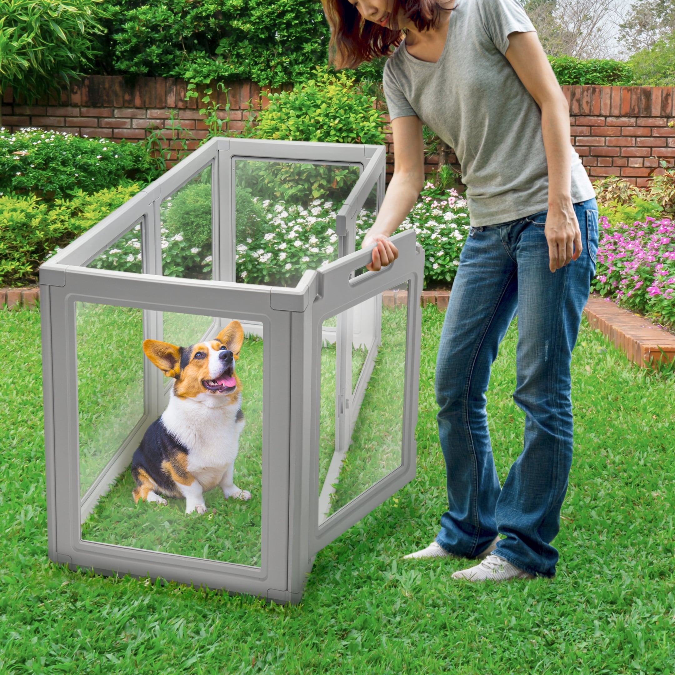 Front Row Platic Clear Dog Pen 6- Panel, 30