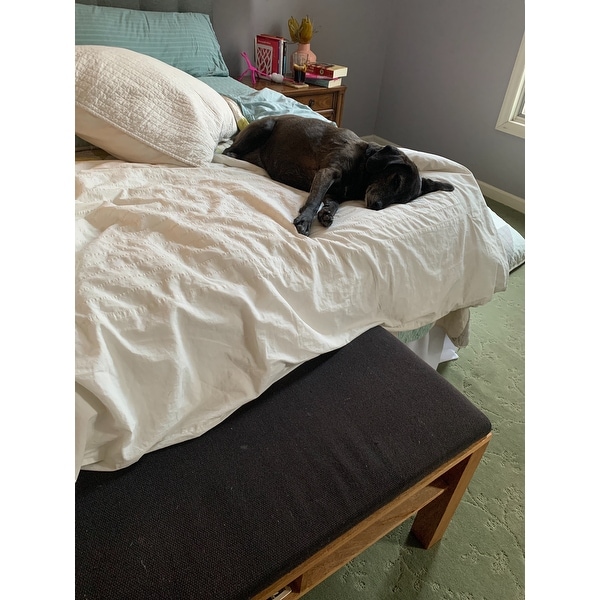 serta sleeptrue malloy