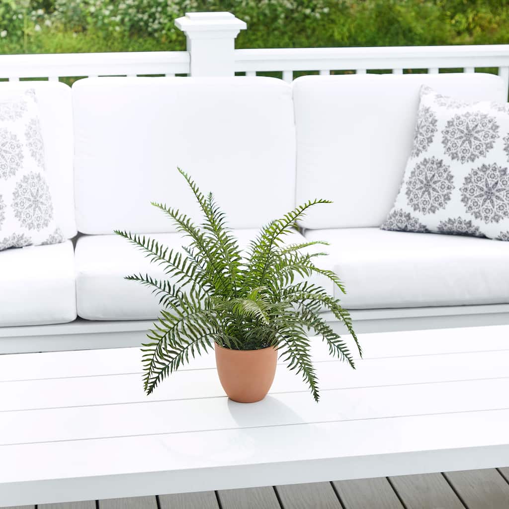 19" Potted Boston Fern