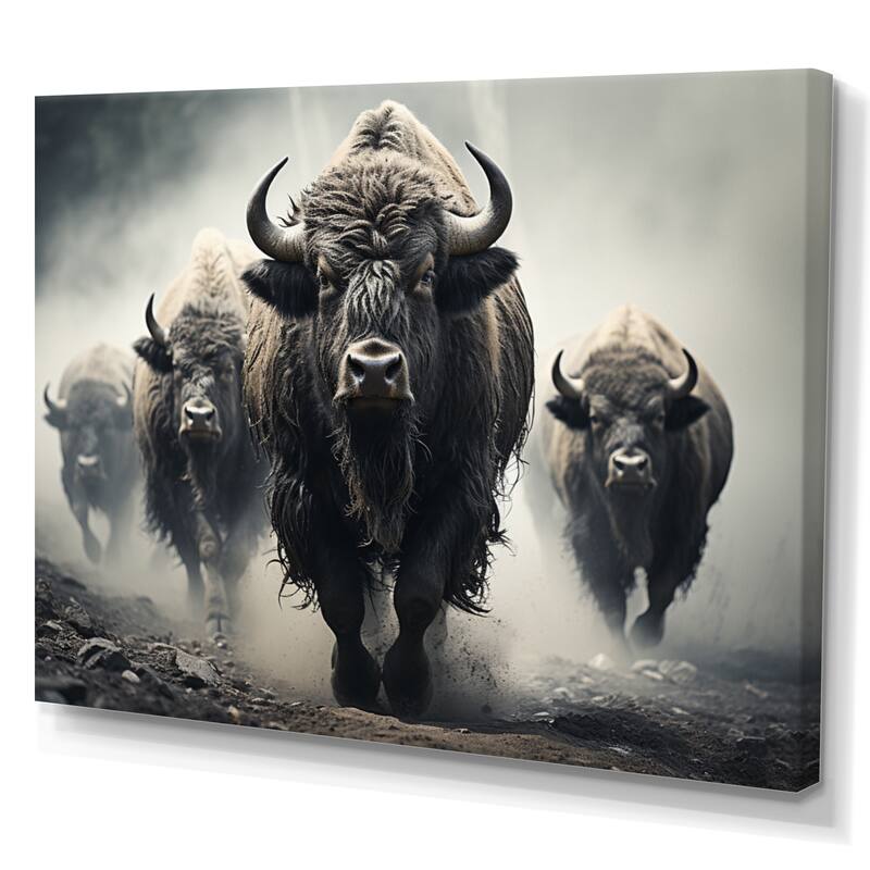 Designart "Grey Buffalo Gentle Guardians I" Animals Wall Art Prints