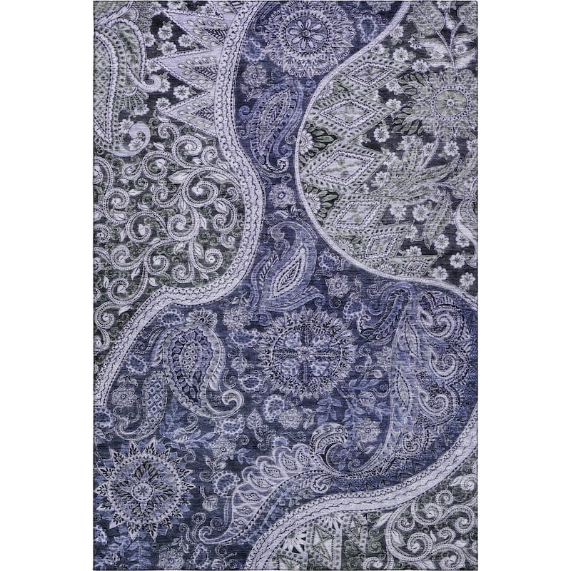 Premium Washable Super Soft Modern Paisley Mayfield Rug