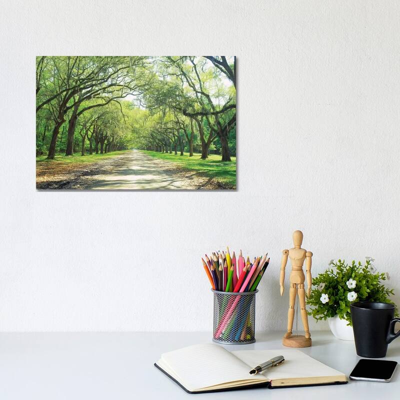 iCanvas "Live Oaks And Spanish Moss Wormsloe State Historic Site Savannah, Georgia" by Panoramic Images Canvas Print - 8x12x0.75