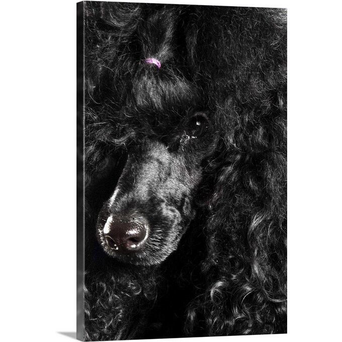 Shop Black Poodle Canvas Wall Art Overstock 16480524