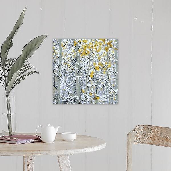 Shop Snow Covered Aspen Trees Colorado Canvas Wall Art Overstock 21003251
