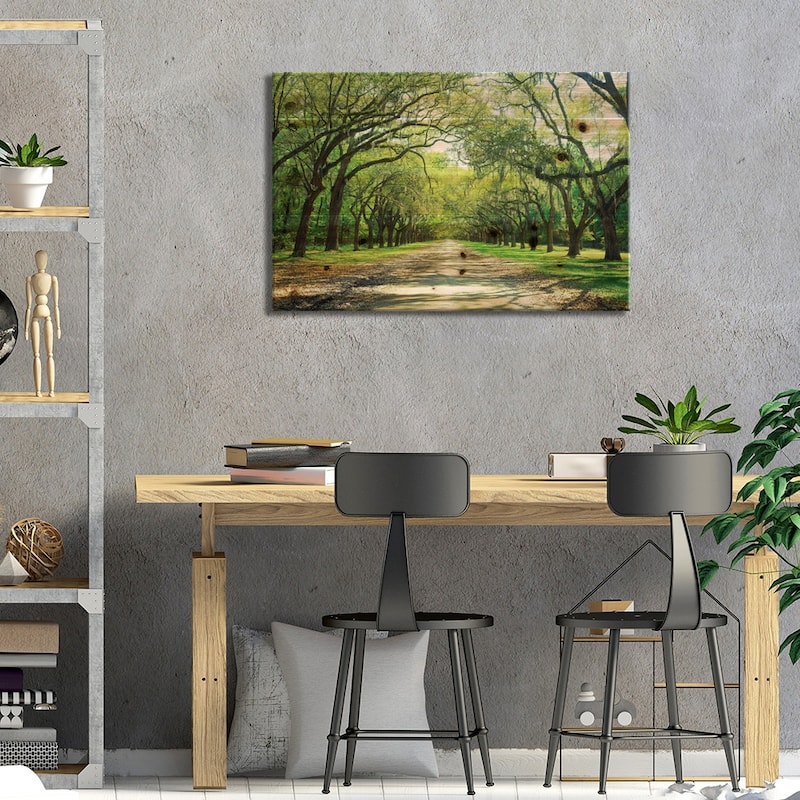 Live Oaks And Spanish Moss Wormsloe State Historic Site Savannah, Georgia Print On Wood by Panoramic Images - Multi-Color