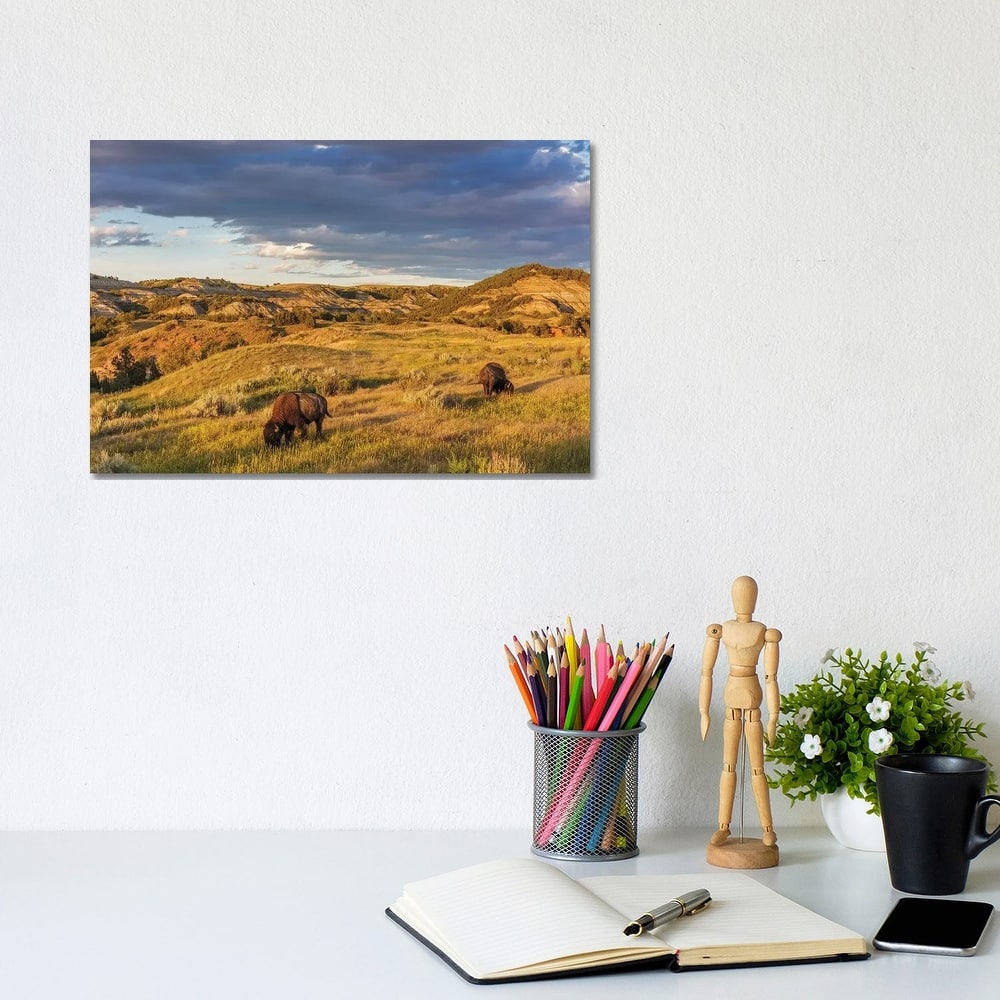 iCanvas "Bison grazing in badlands in Theodore Roosevelt National Park, North Dakota, USA" by Chuck Haney Canvas Print